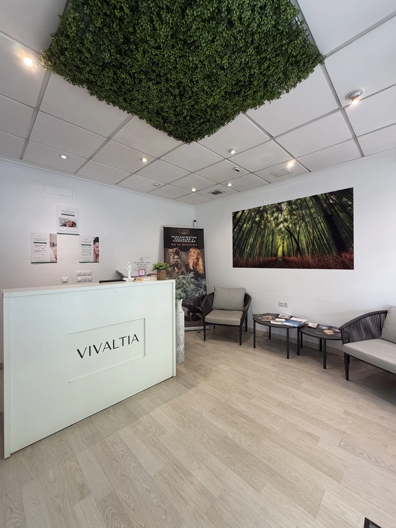 Recepción de Vivaltia