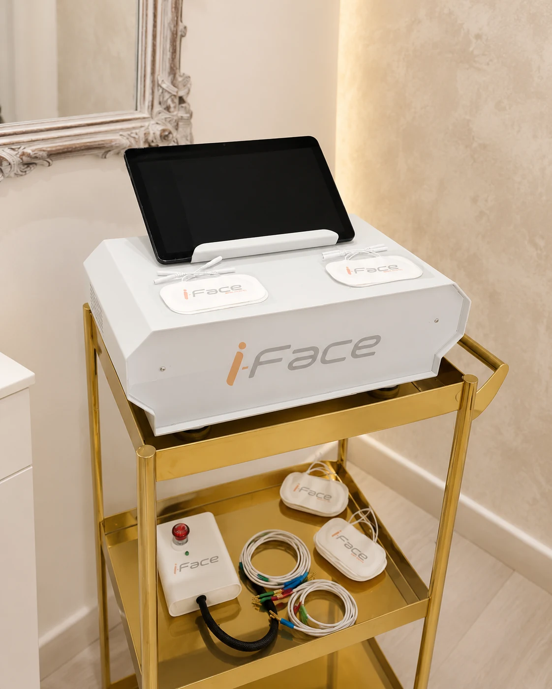 Equipo iFace de Vivaltia